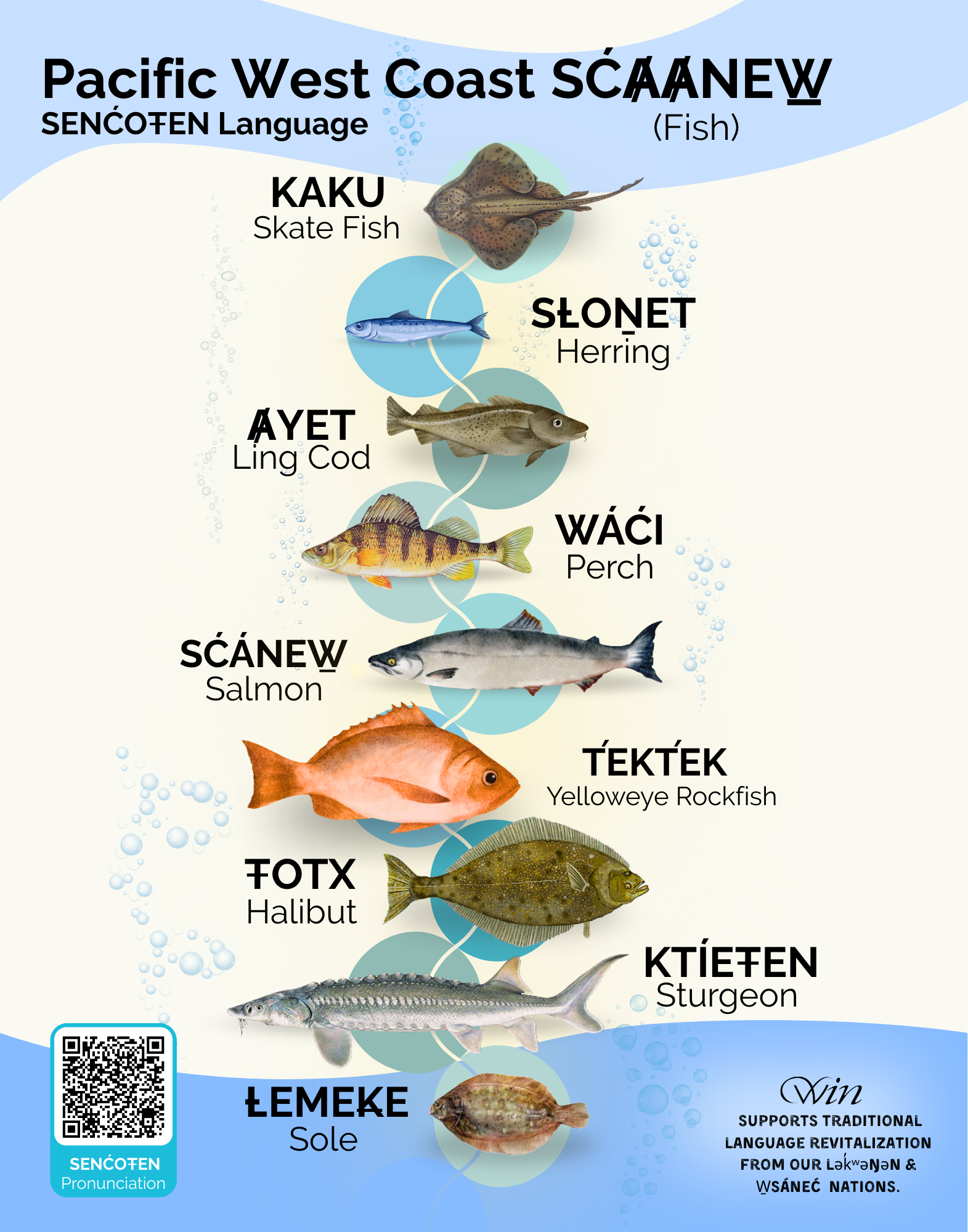 Pacific West Coast SĆȺȺNEW̱