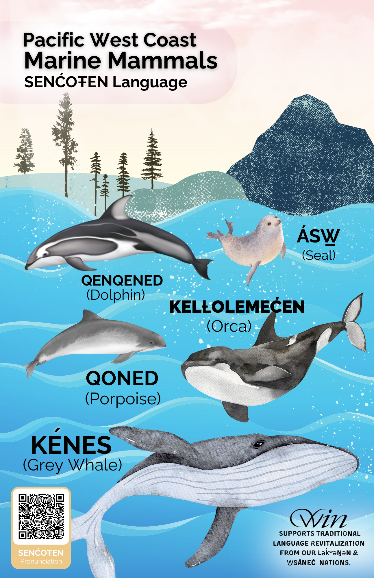 Pacific West Coast Marine Mammals