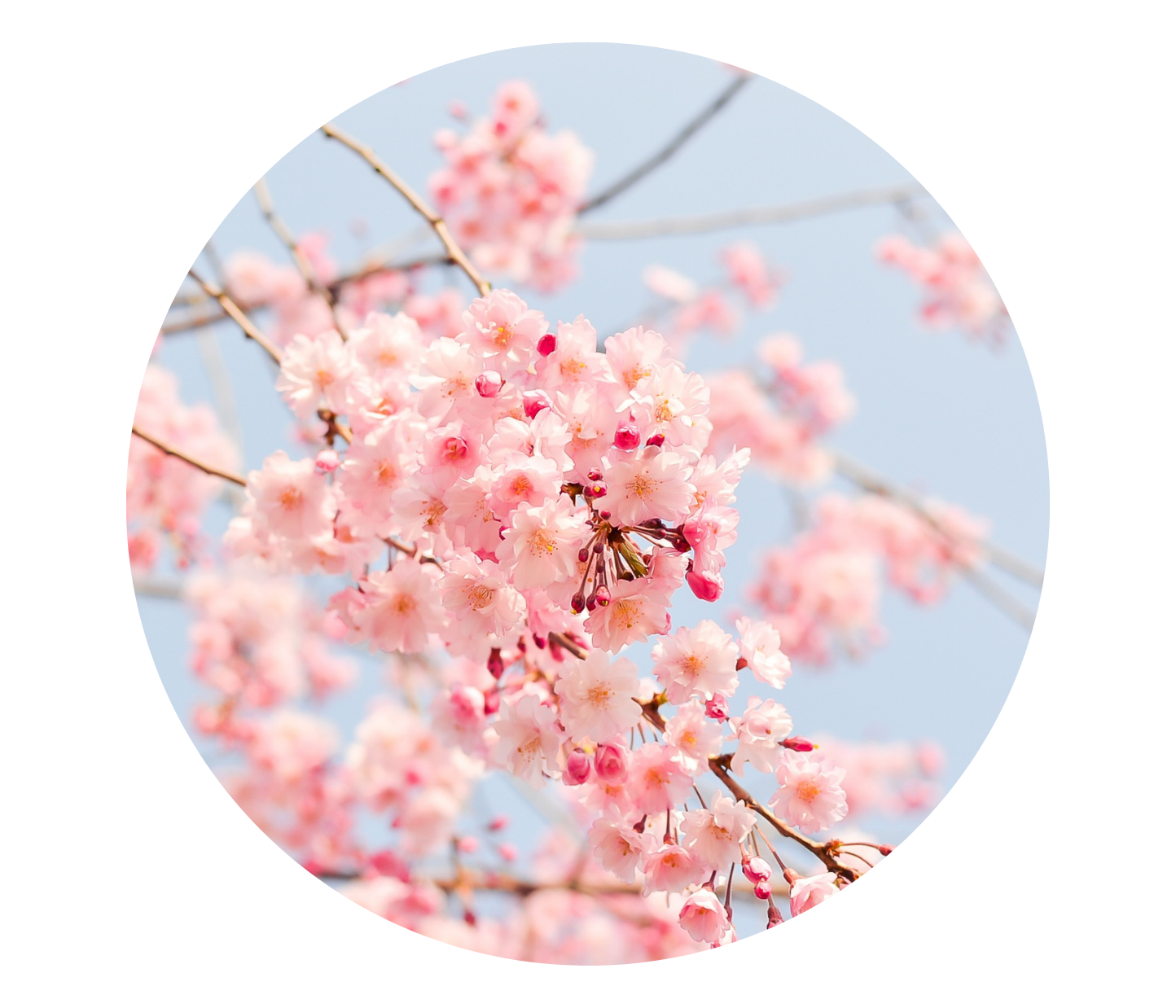 $39,391 is the value of Gifts in Kind provided to local community organizations to use in their programs.