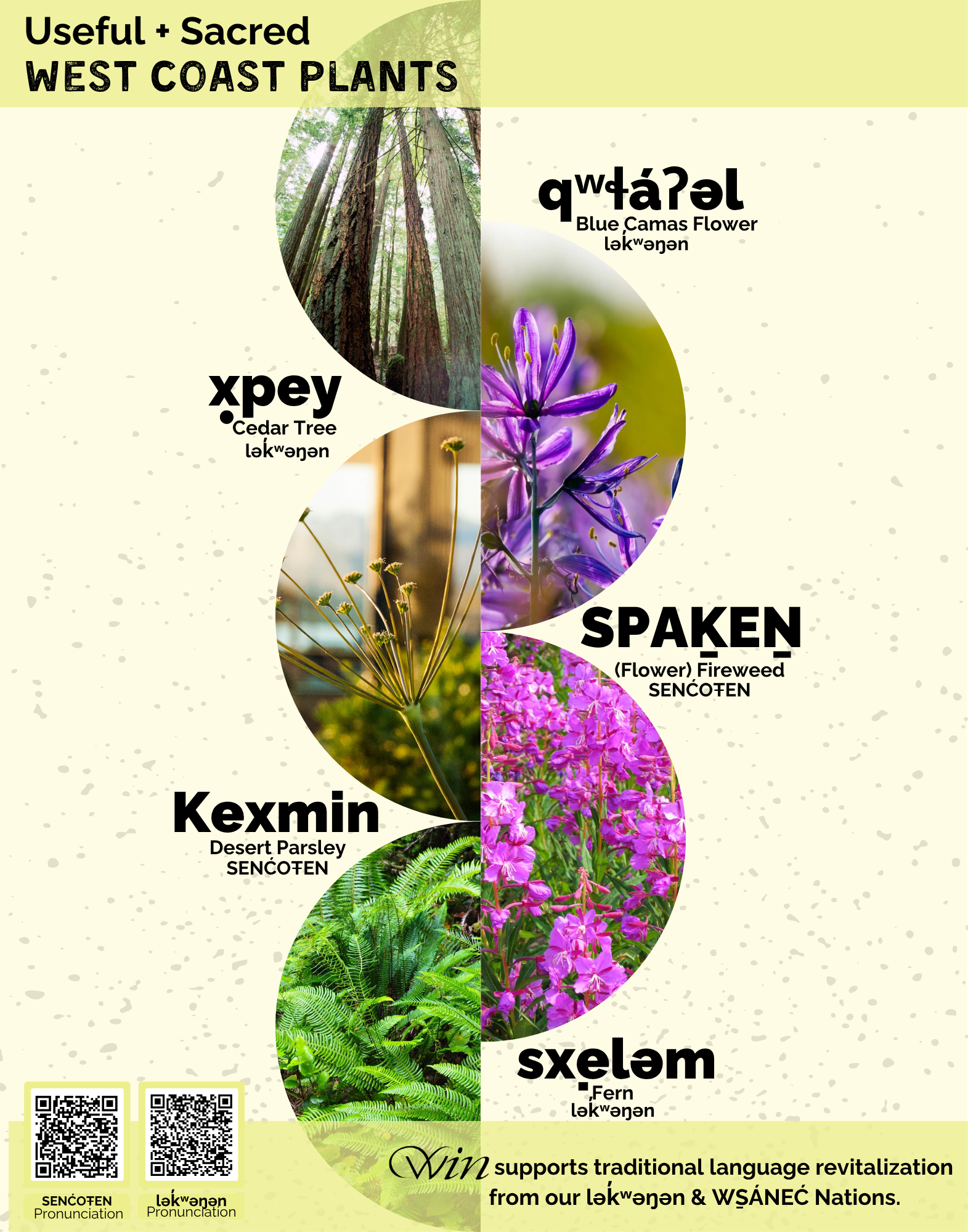 Useful & Sacred West Coast Plants