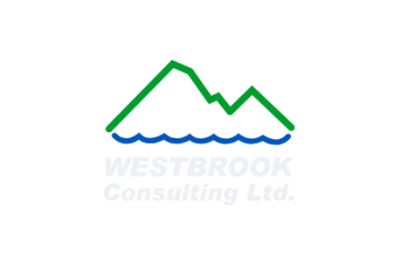 WEBSITE CONTENT (6).png