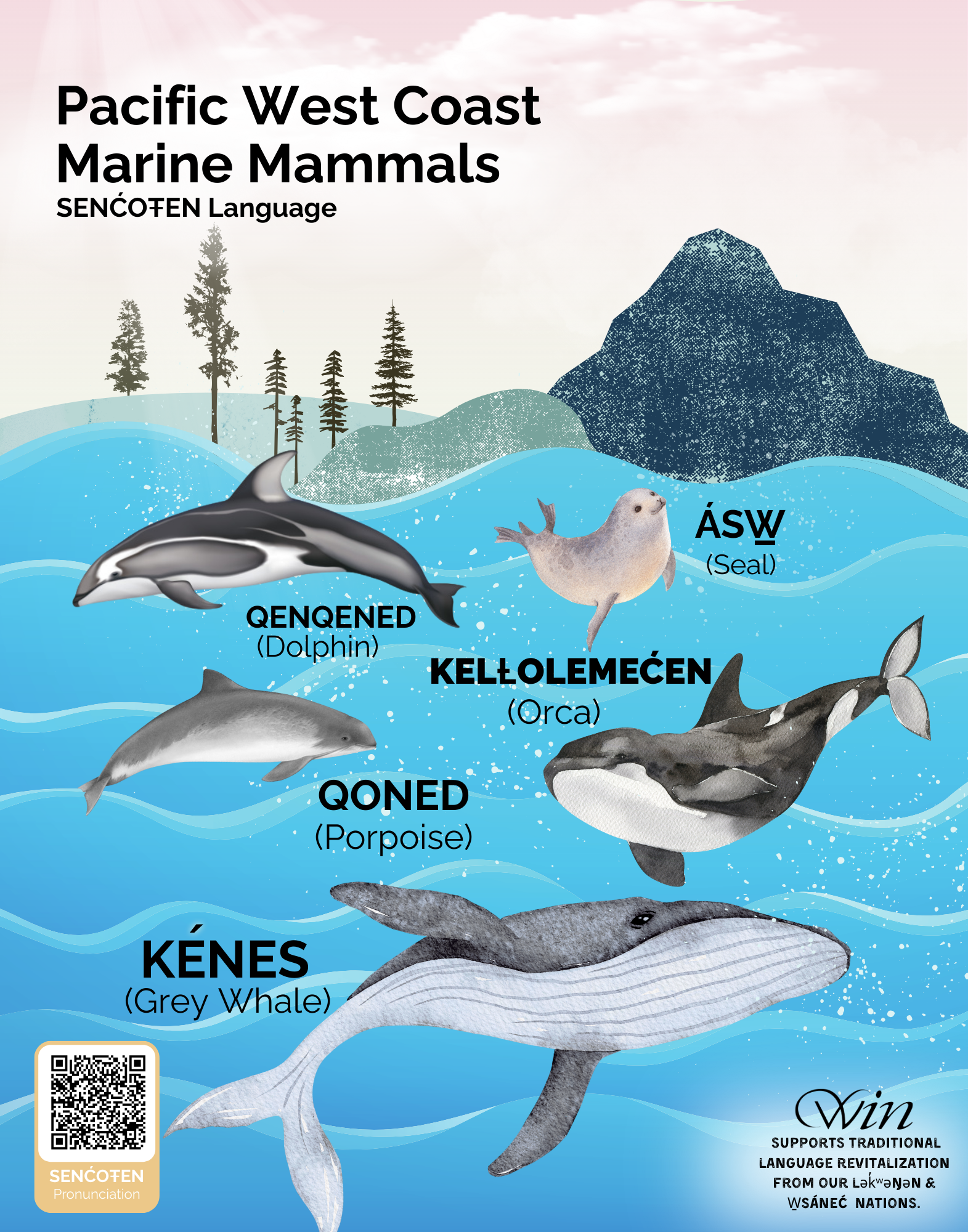Pacific West Coast Marine Mammals