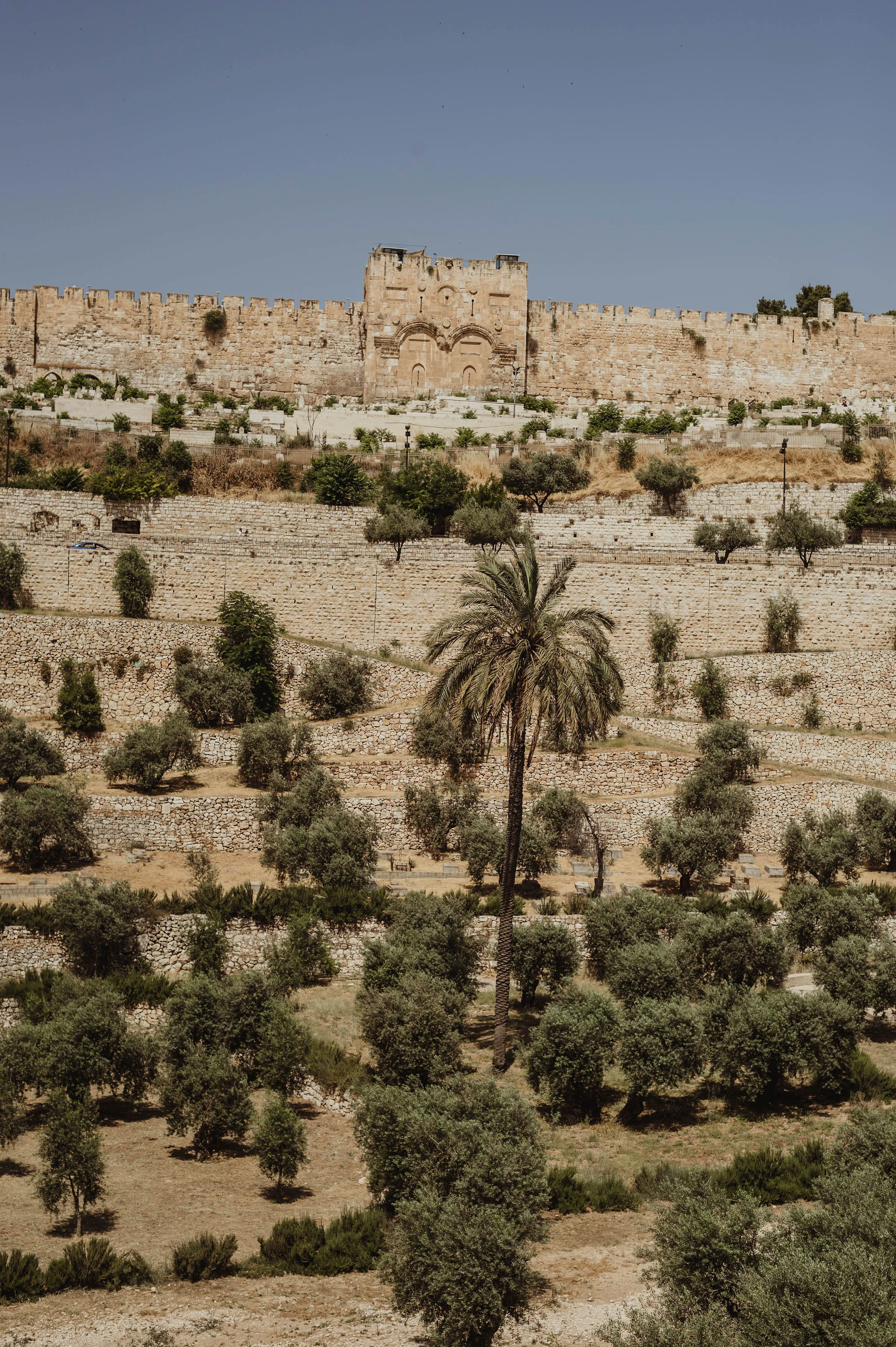 DSC_3014.jpg