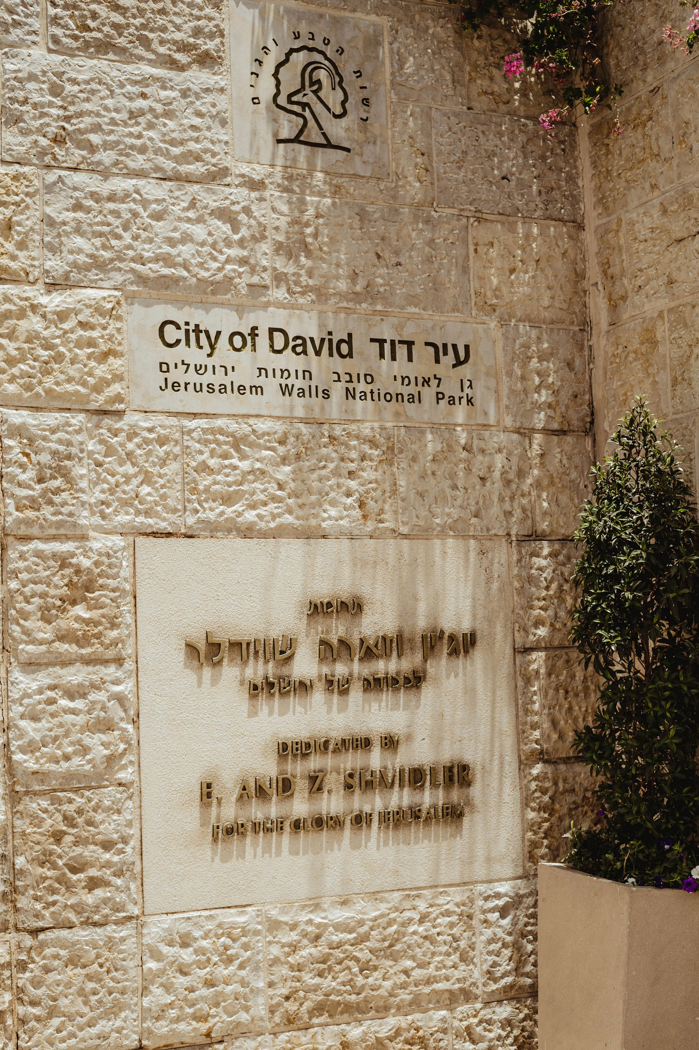 DSC_3104.jpg