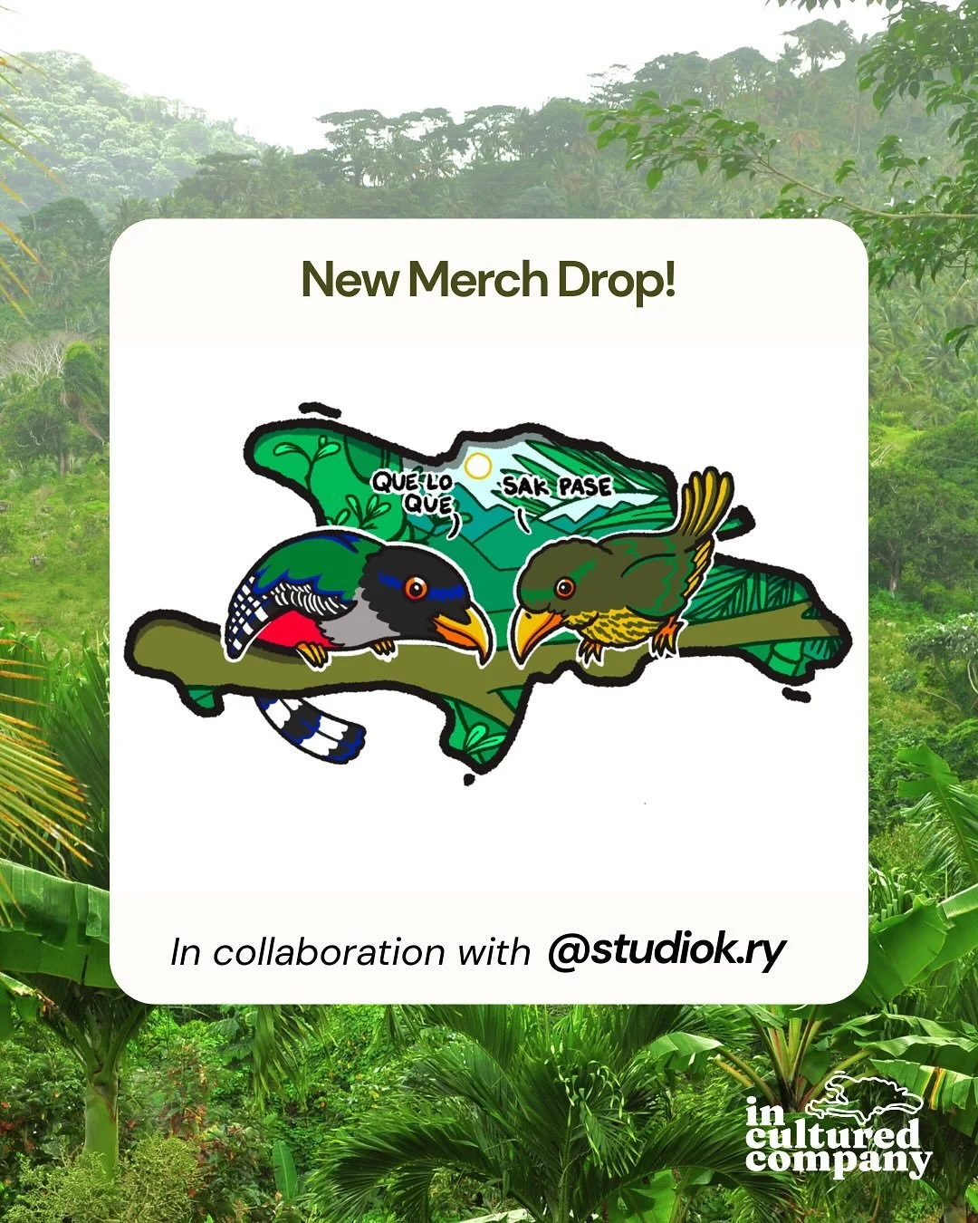 We are excited to launch our new merch line in collaboration with local artist Ryan Hernandez! This design features the Hispaniolan Trogon (Haitian national bird) and the Palmchat (Dominican national bird). One is able to find both birds on either si