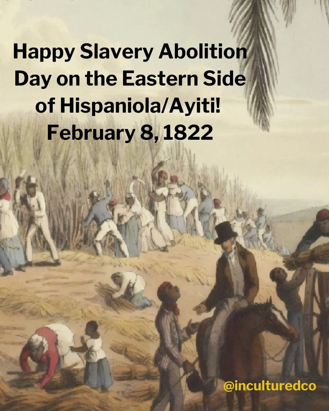 We know that #February27 is #NotOurIndependenceDay. 

But this week we are celebrating a very important and special day: February 8th, the abolition of slavery in the Eastern side of Hispaniola/Ayiti, the land that would become the Dominican Republic