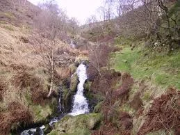 One of the many cloughs, steep river banks in the Pennine Mountains