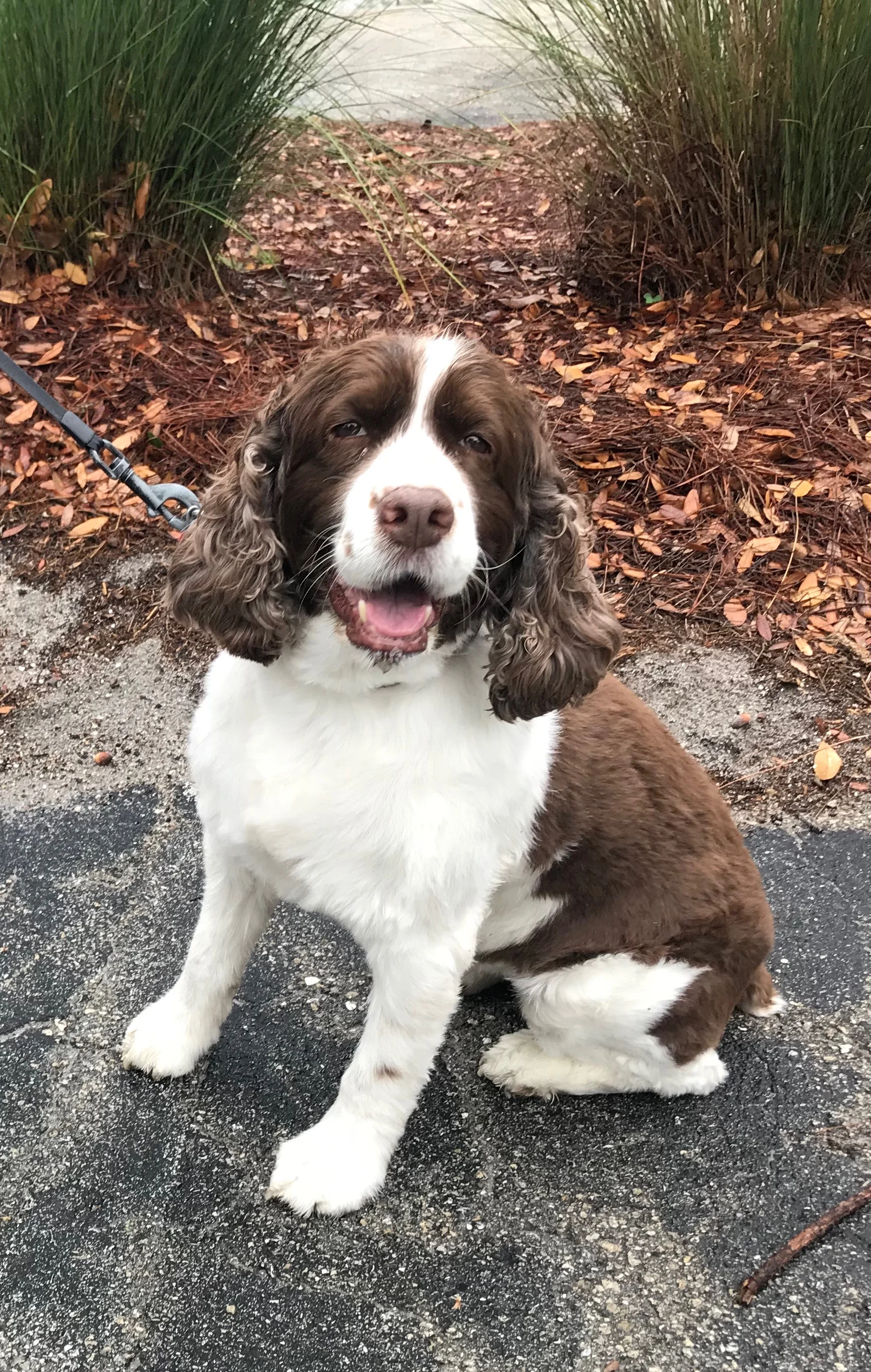 Always Take Your Best Friend