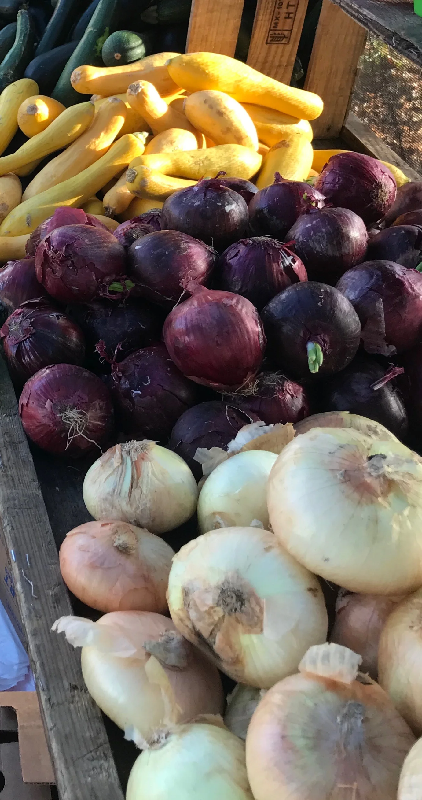 Gardens, Markets, and Fairs of 17th Century Britain