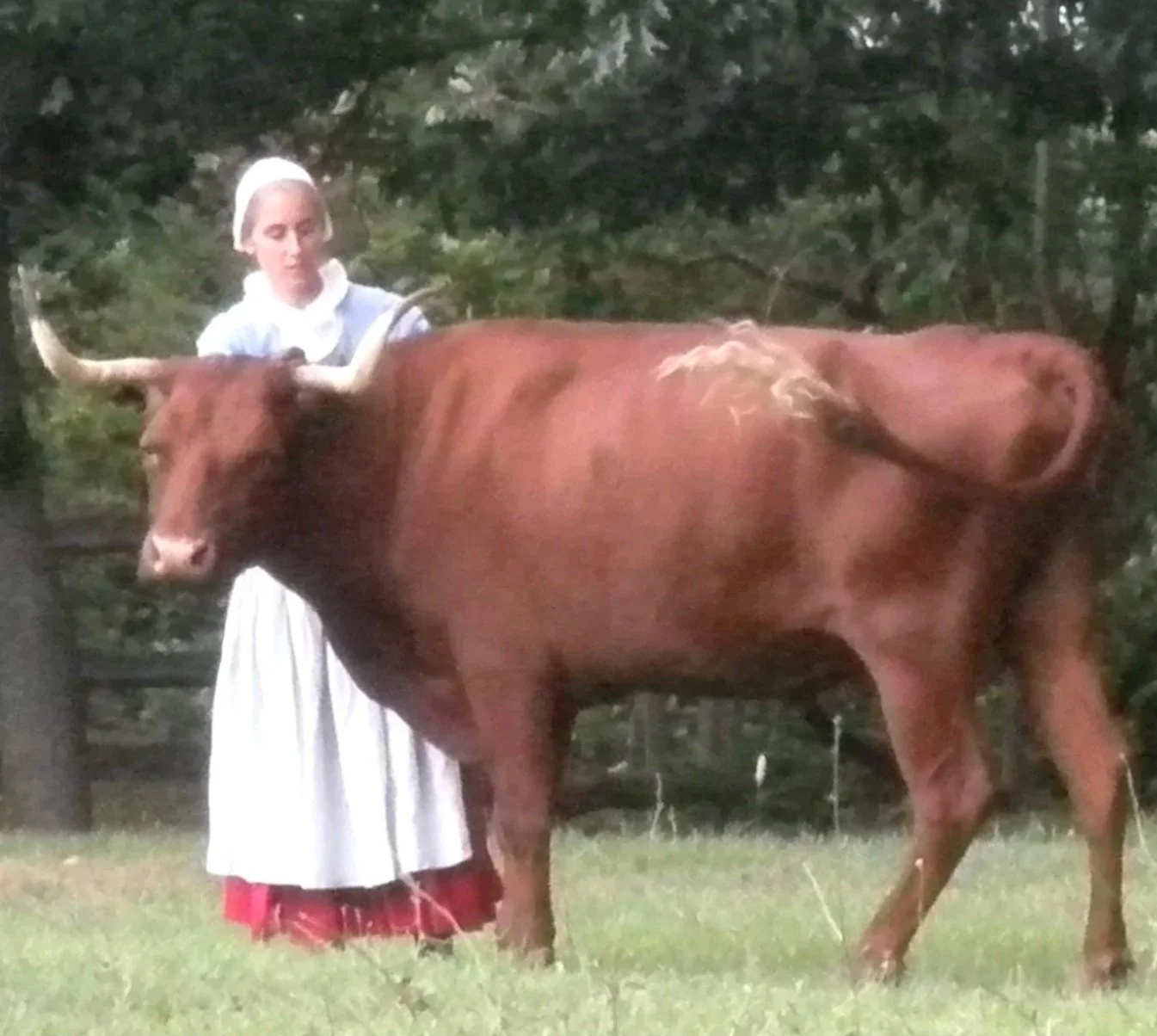 Glimpse into Made to Last Forever, Animals and Food, Mary Fairbanks (1622-1684) and Fairbanks Patriots-John Fairbanks