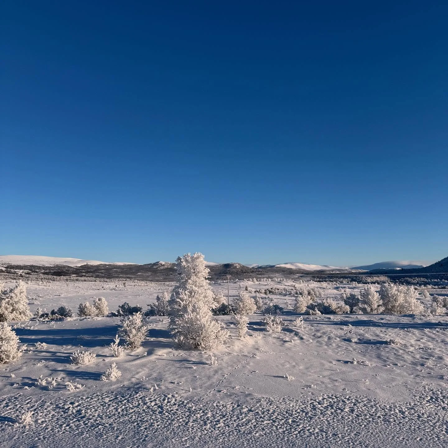 Gradestokken viser -29 idag, men fint er det likevel🩵

#hageseter_turisthytte #hageseter #nafcamp #pluscamp #pluscamphageseter