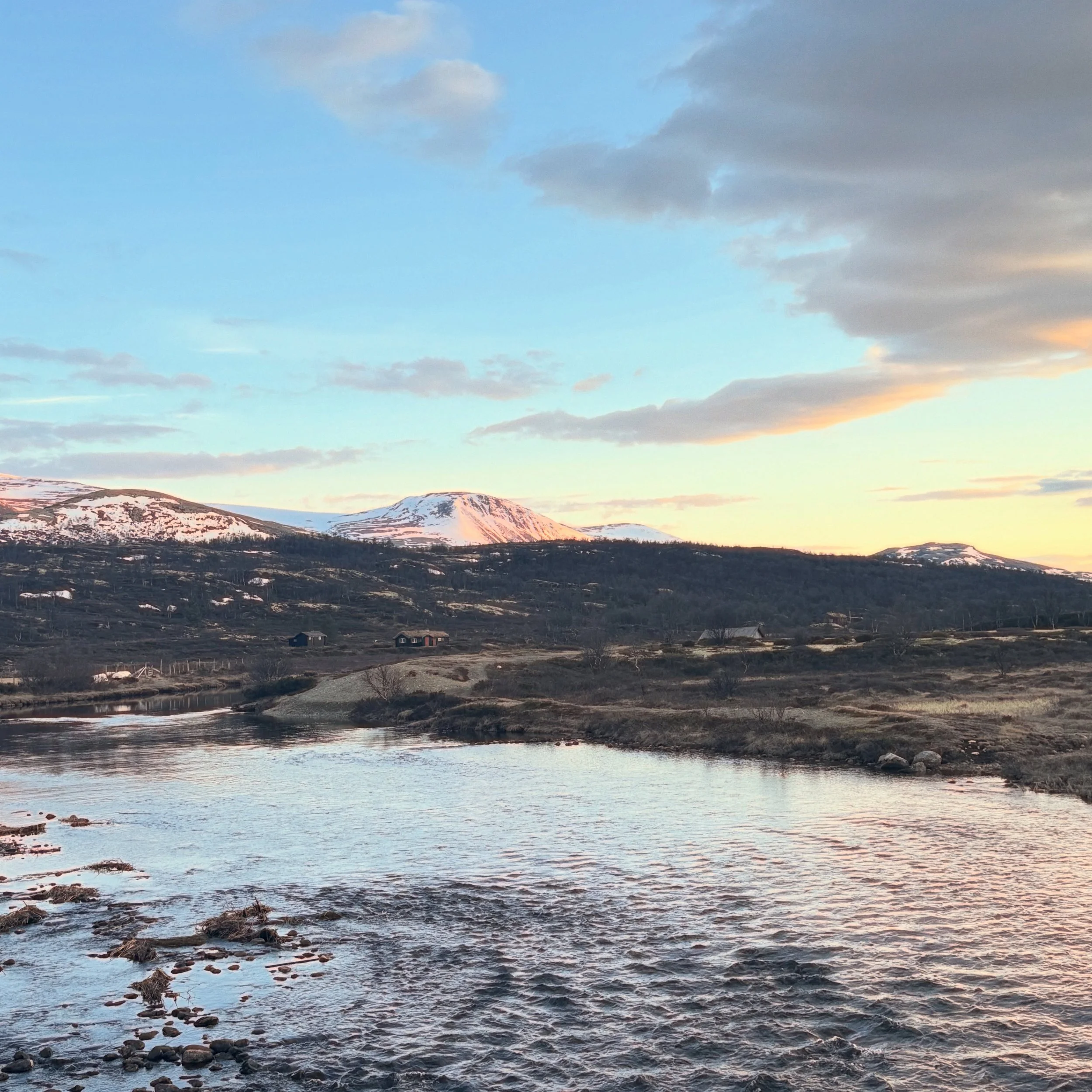 Kondis er med p&aring; kveldsrunden 🐾
Solnedgang, v&aring;rf&oslash;lelse og opplading til en ny sommer🌸