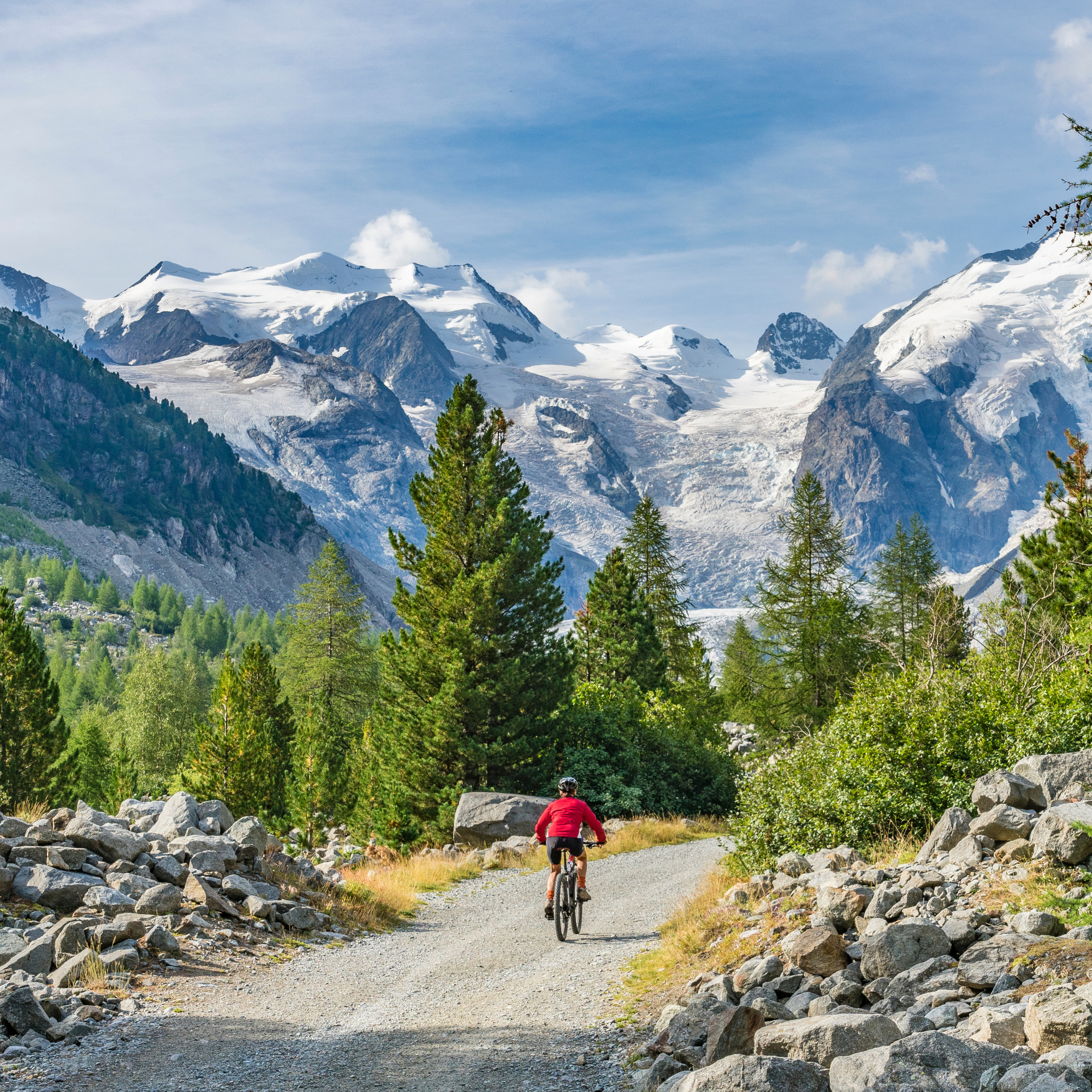 Ein Mountainbiker in rotem Trikot und schwarzer Hose fährt auf einem steinigen Pfad durch eine alpine Landschaft mit bewaldeten Hügeln und schneebedeckten Bergen im Hintergrund unter einem blauen Himmel.