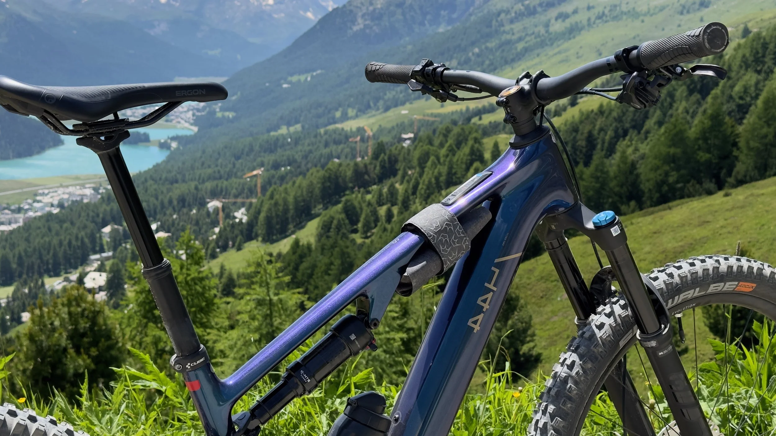 Una Mountain Bike un prato con un panorama montano sullo sfondo.
