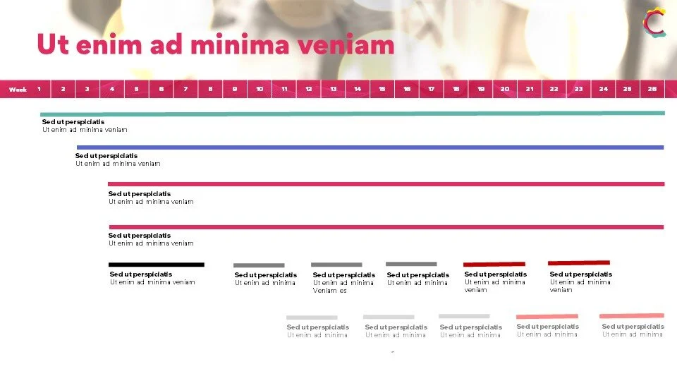 Slide8.JPG