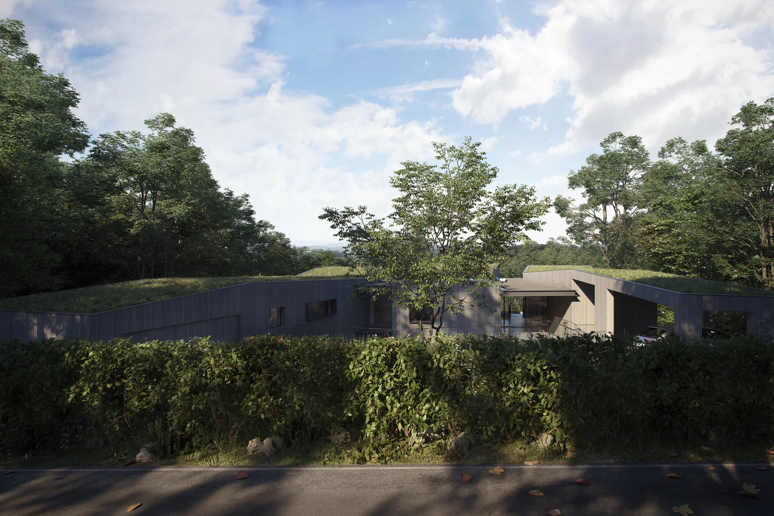 Visual_Numa_View 1_Bridge Lane Grey Brick.jpg