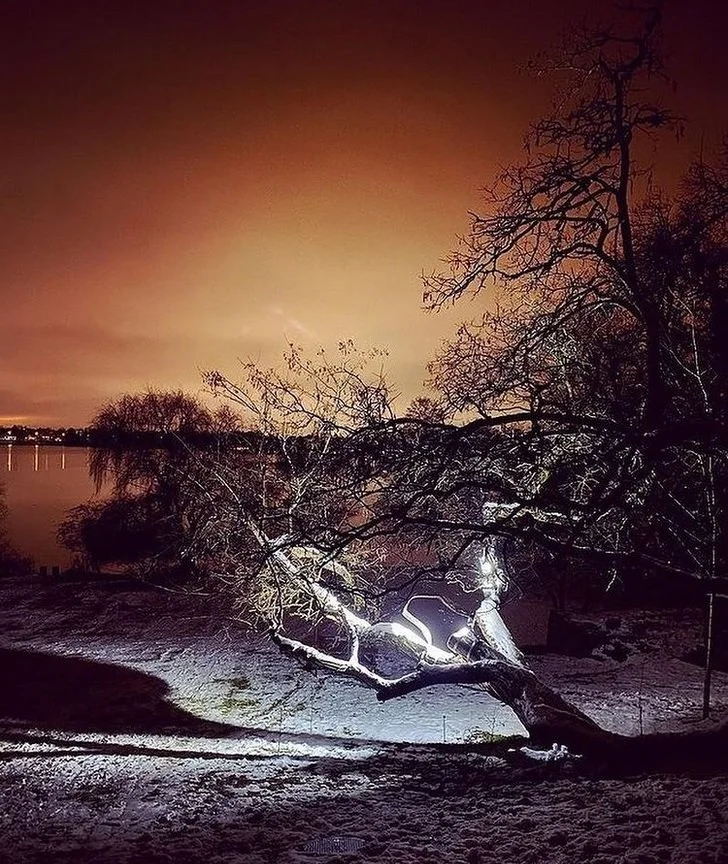 Mørkeapparatur, instagram, Signe Amalie, Sophienholm.jpg