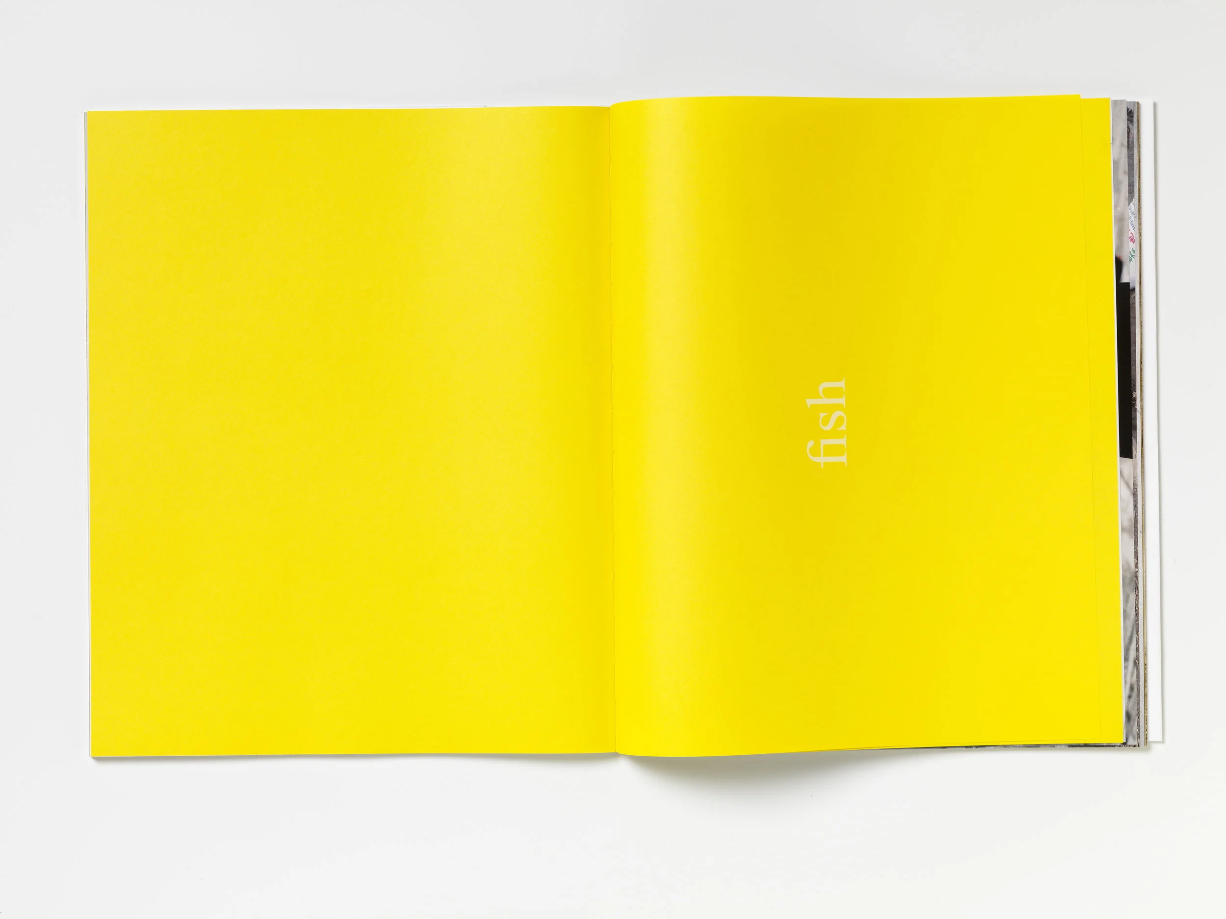 mist- 012.jpg
