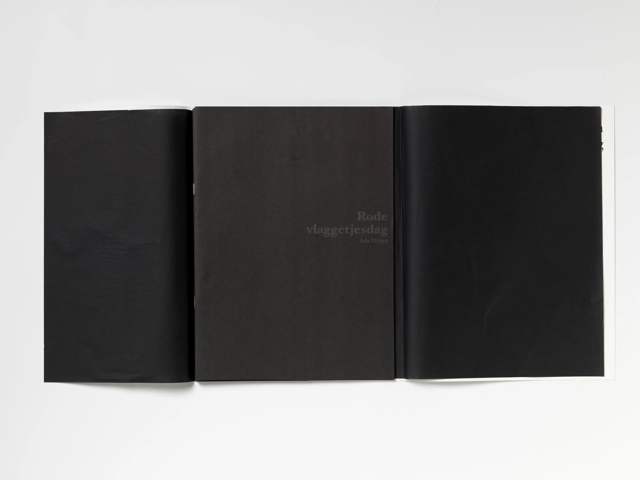 micorcosmos- 004.jpg