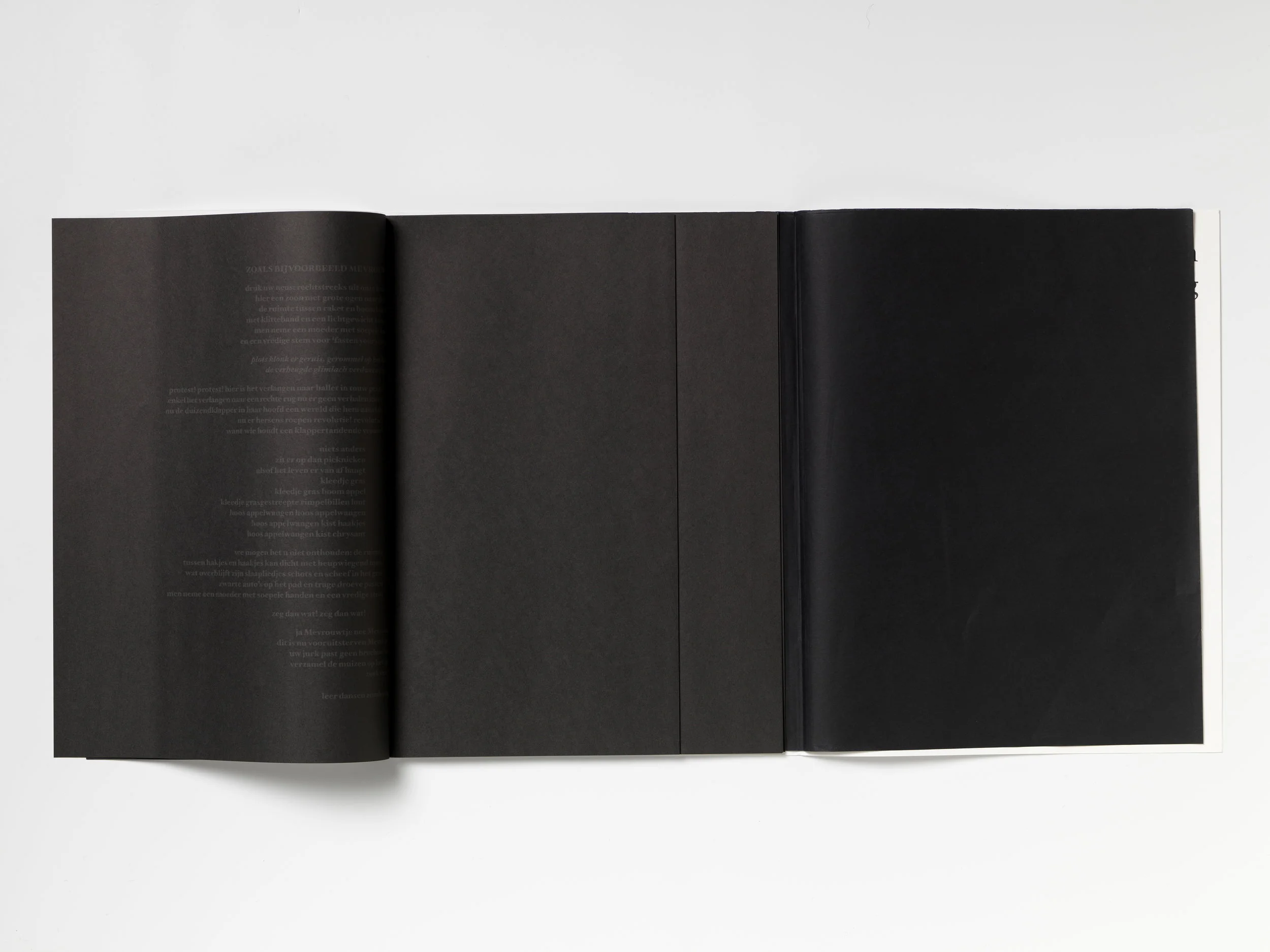 micorcosmos- 014.jpg