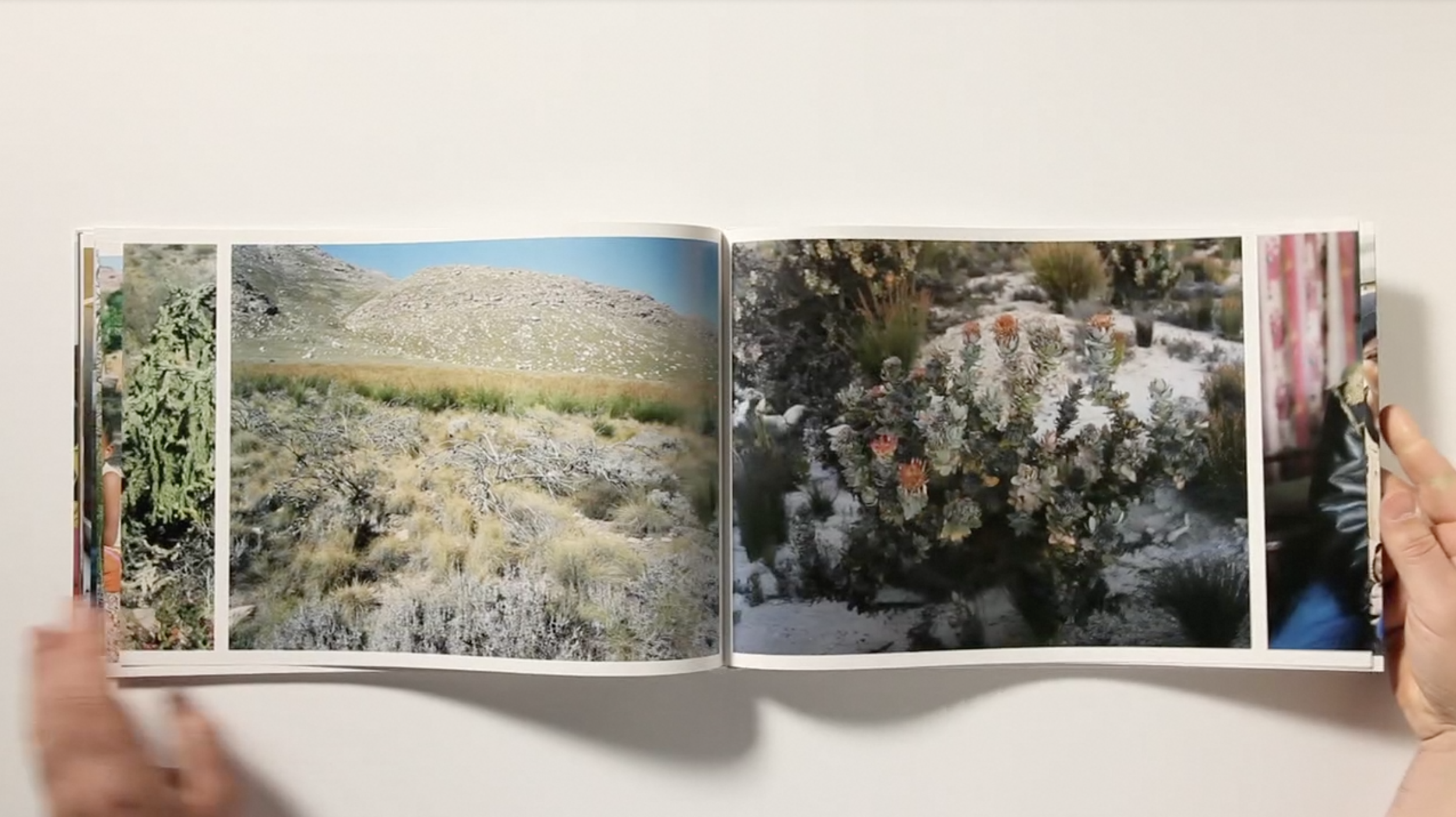 Schermafbeelding 2018-10-06 om 18.08.24.png