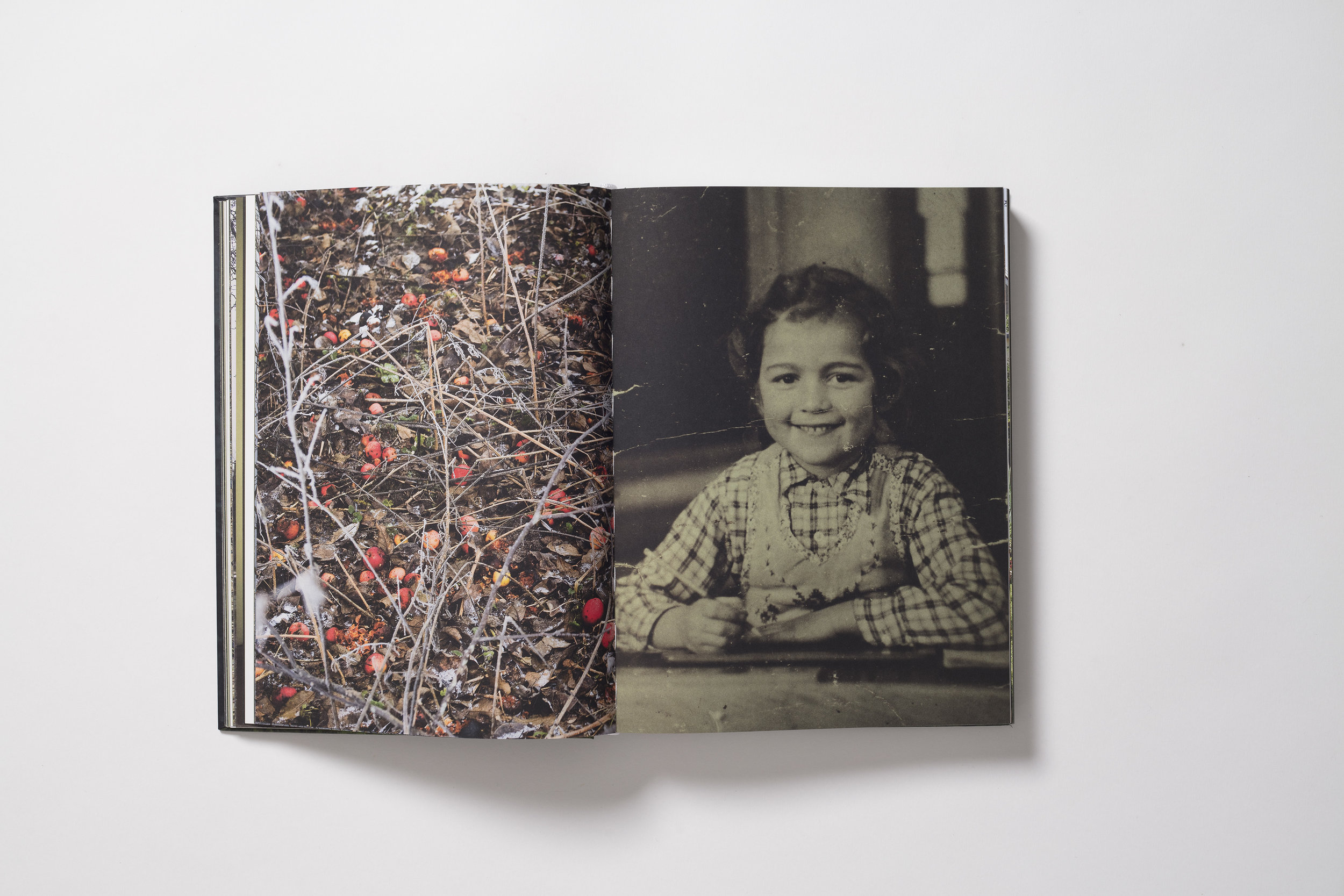 img_0151.jpg