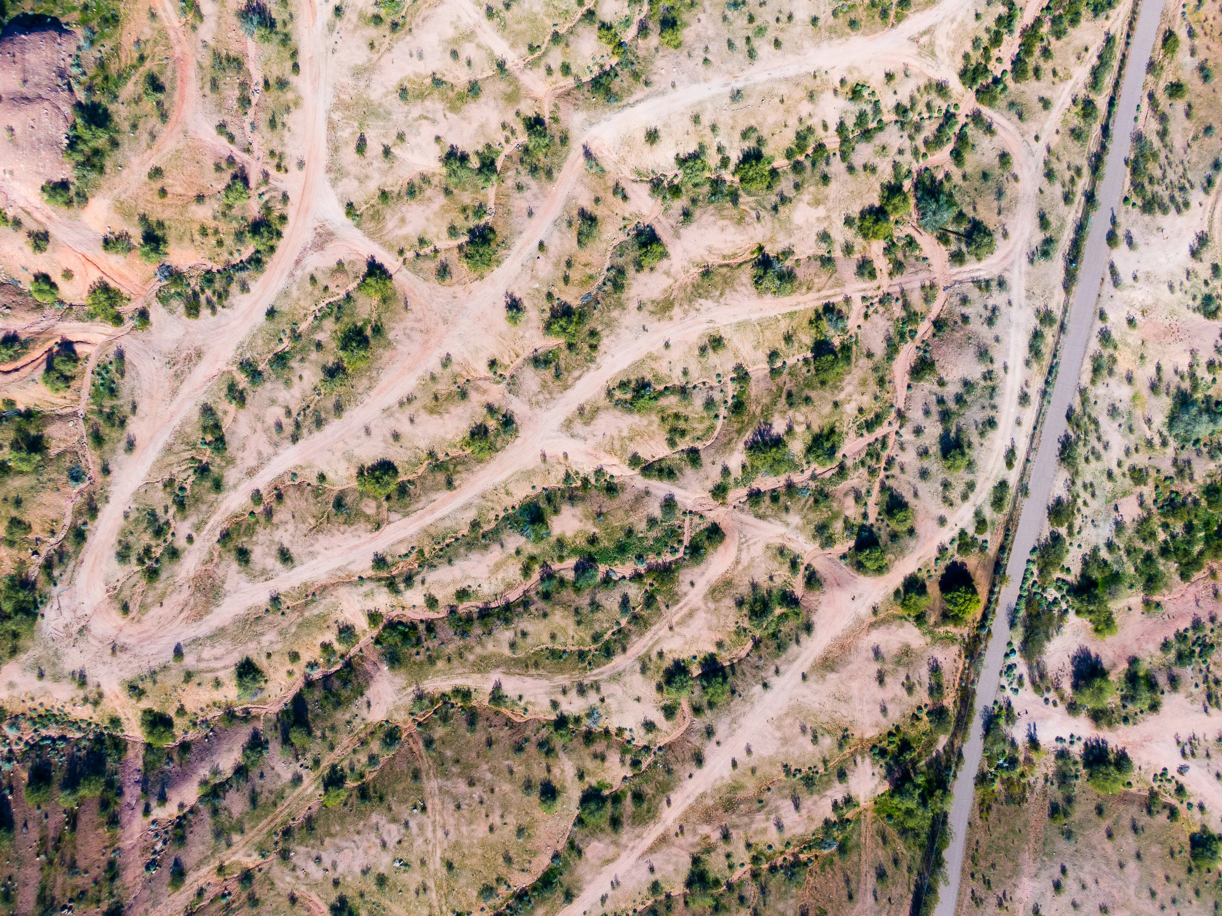 Korean tour service audaciously offers to rent out 'oppa'