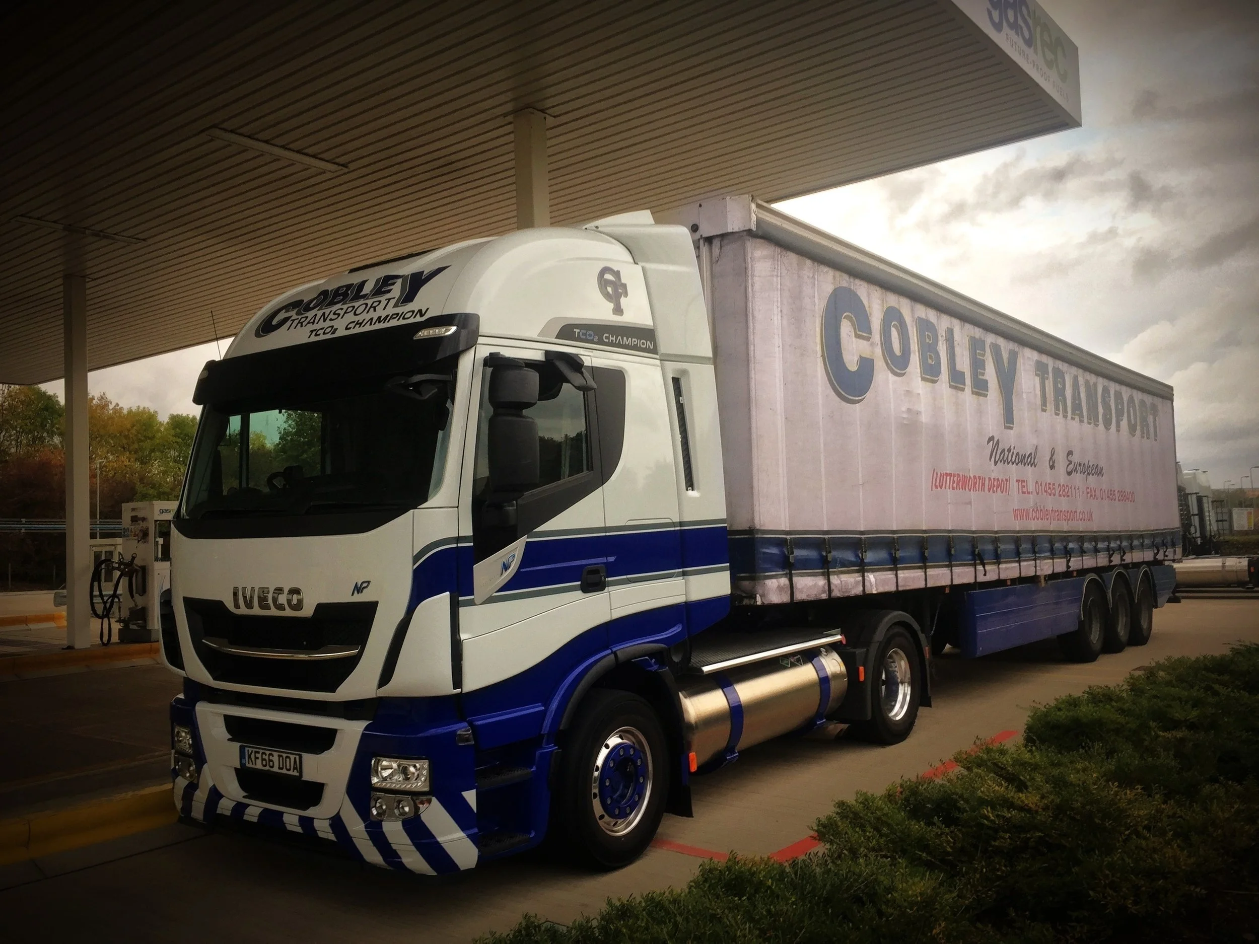 Cobley 3.jpg