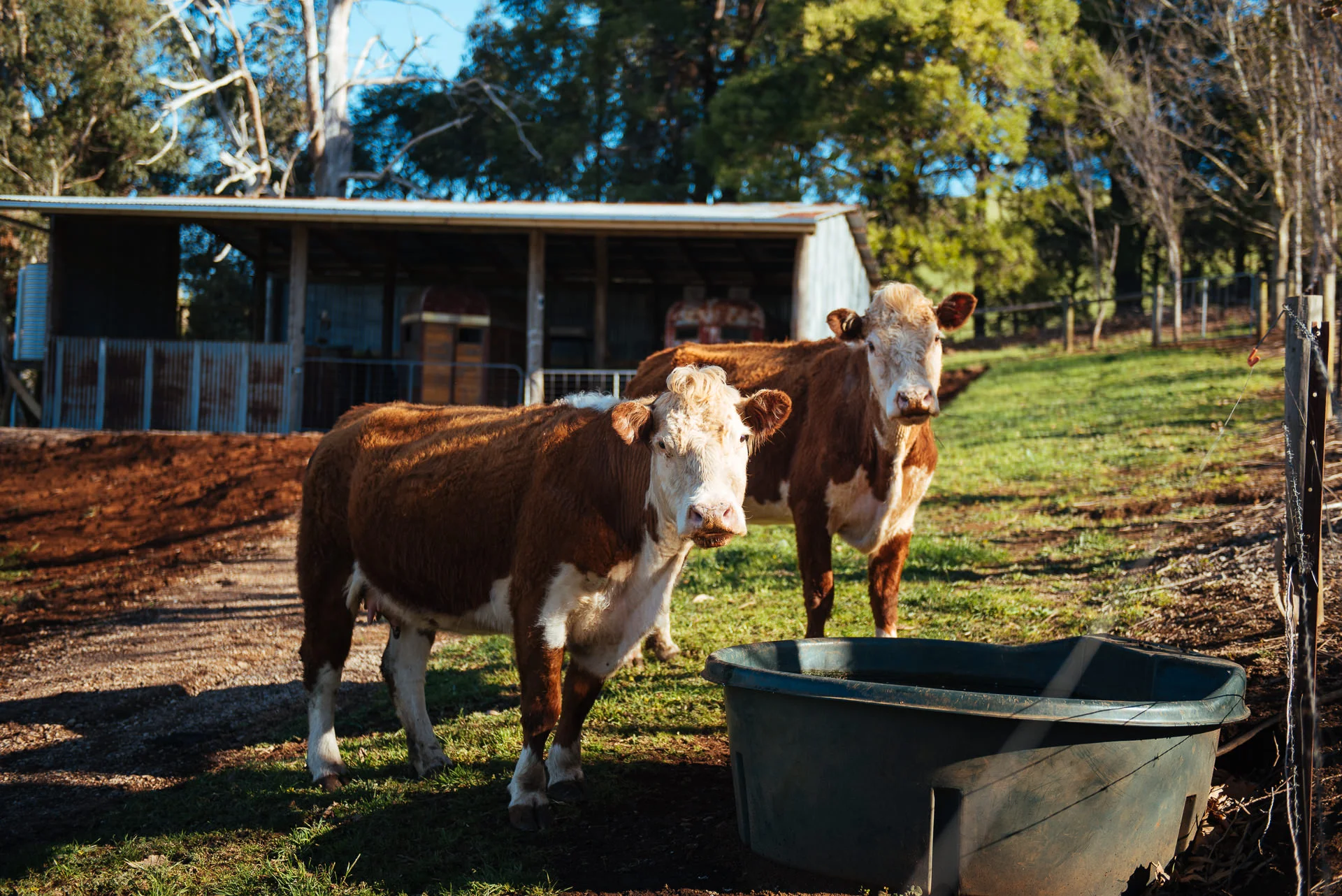 Alkira Eco Glamping Retreat