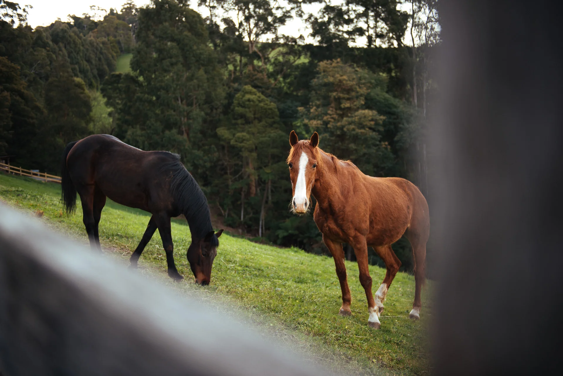 Alkira Eco Glamping Retreat