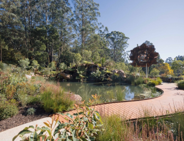 Chelsea Australian Garden at Olinda