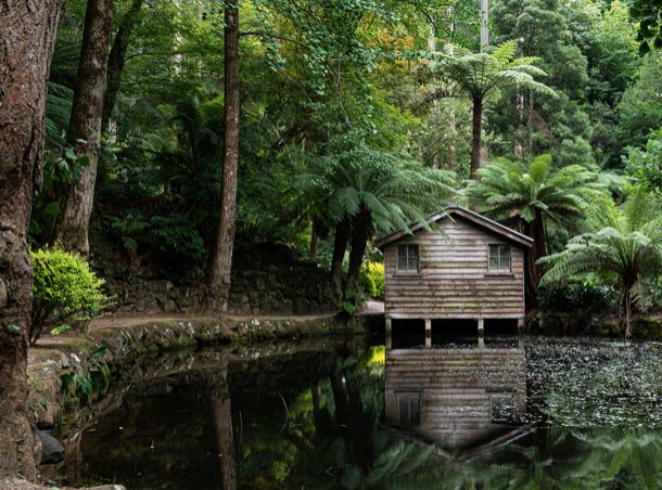 Screenshot 2026-03-17 at 5.26.18 PM.png