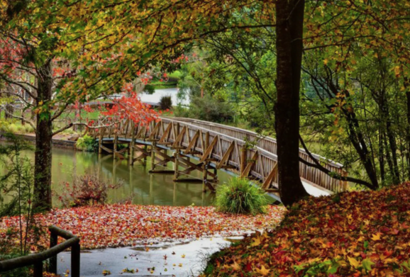 Screenshot 2026-03-17 at 5.25.13 PM.png