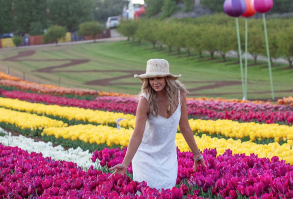 Tesselaar tulip farm