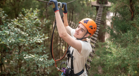 Treetop adventures