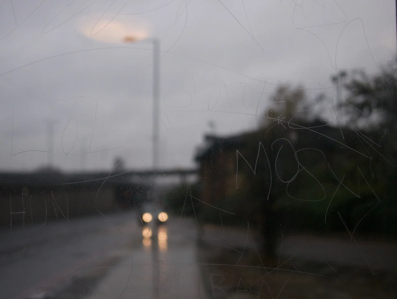 P1060008.jpg