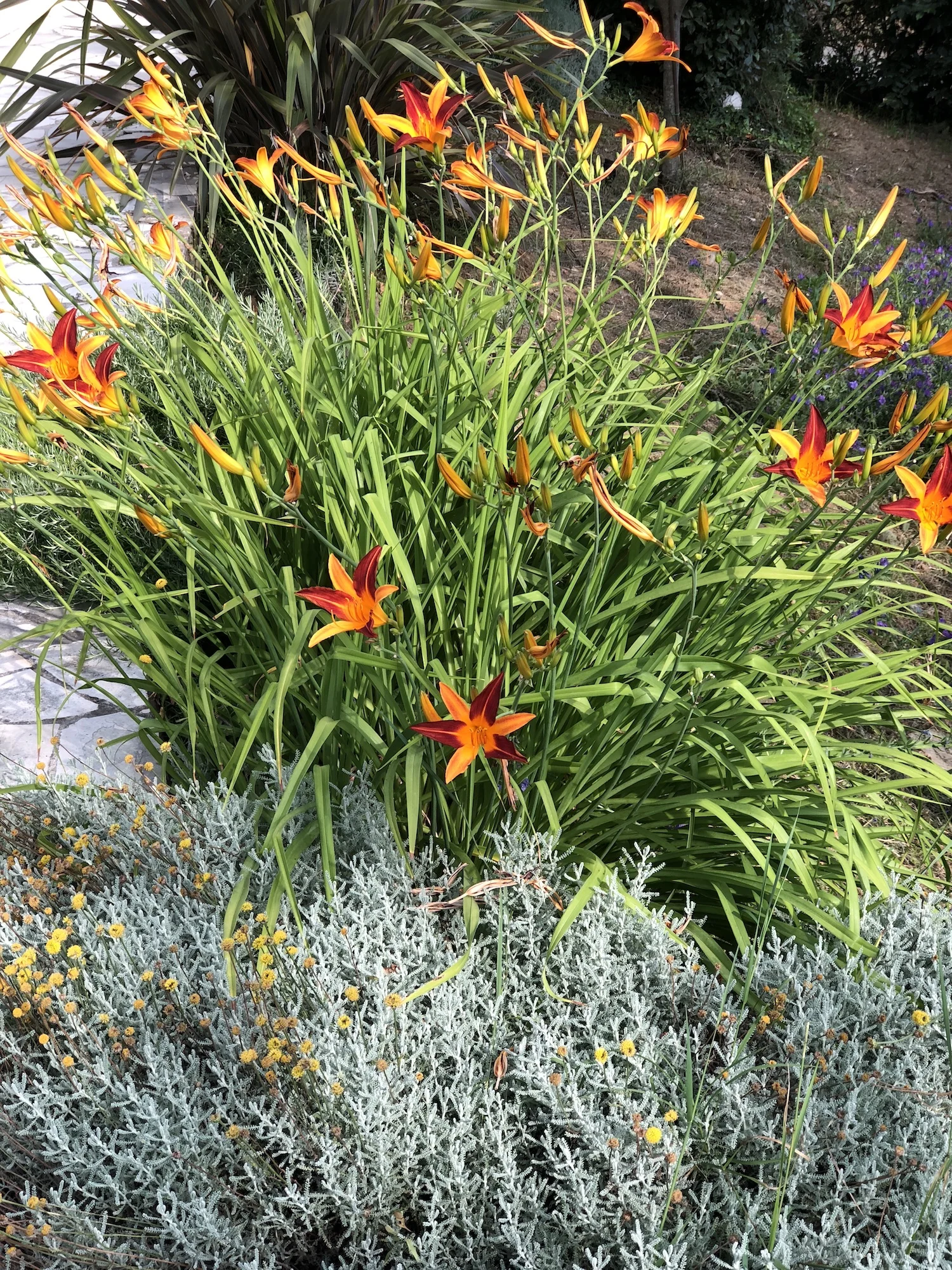 first impressions(3).JPG