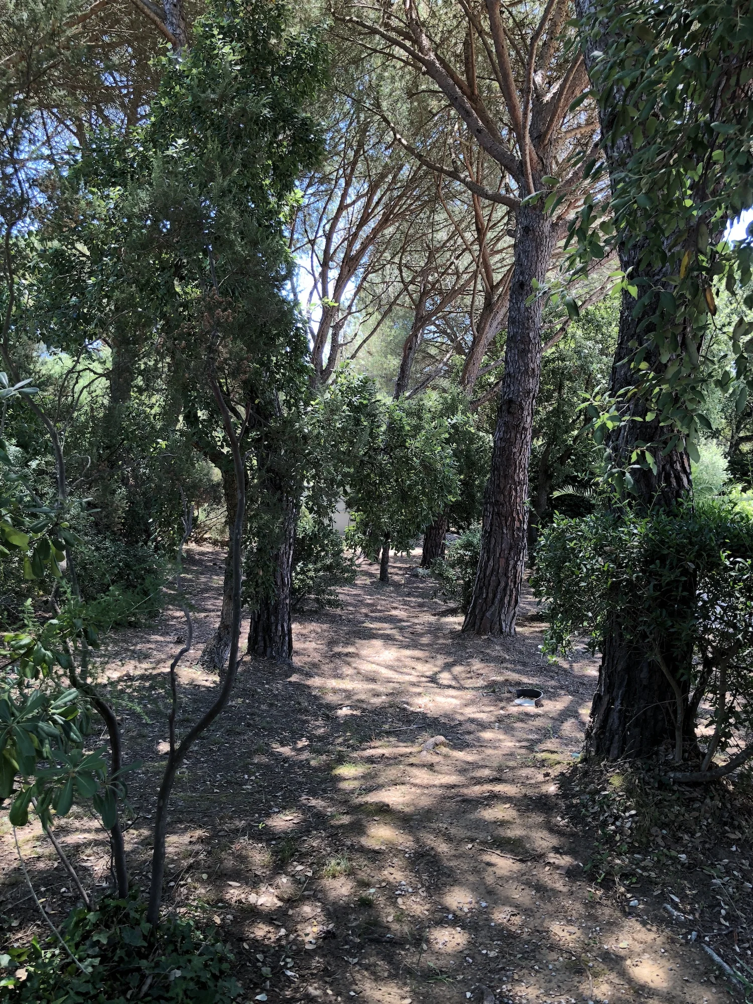 first impressions(5).JPG