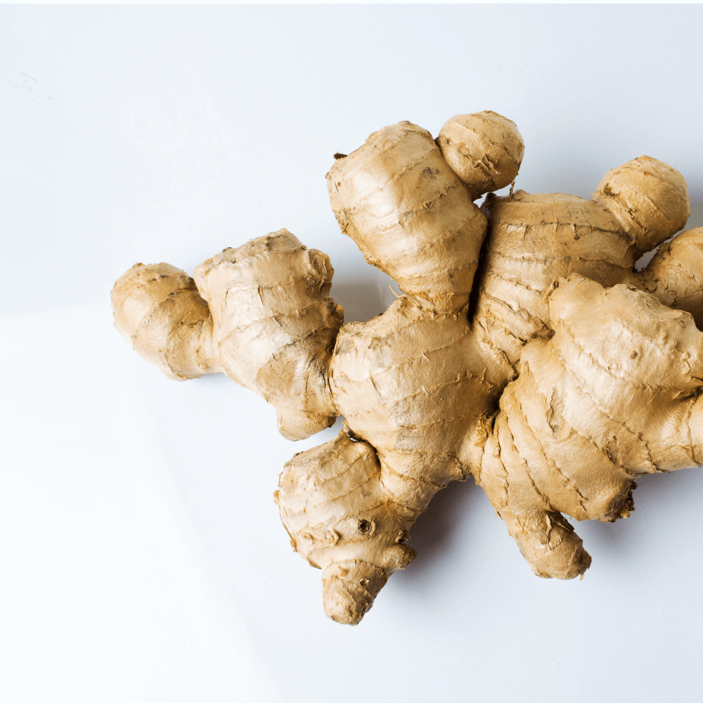 Zingiber officinale Rosc.