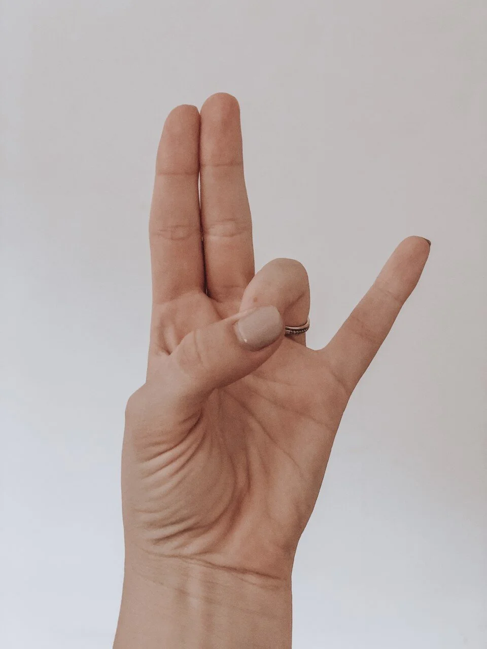 Meet the first layer of your being; the Annamaya kosha (The Physical Body)