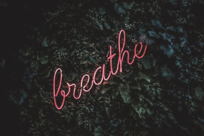 Meet the second layer of your being: the Pranamaya kosha ( The Energetic Body)