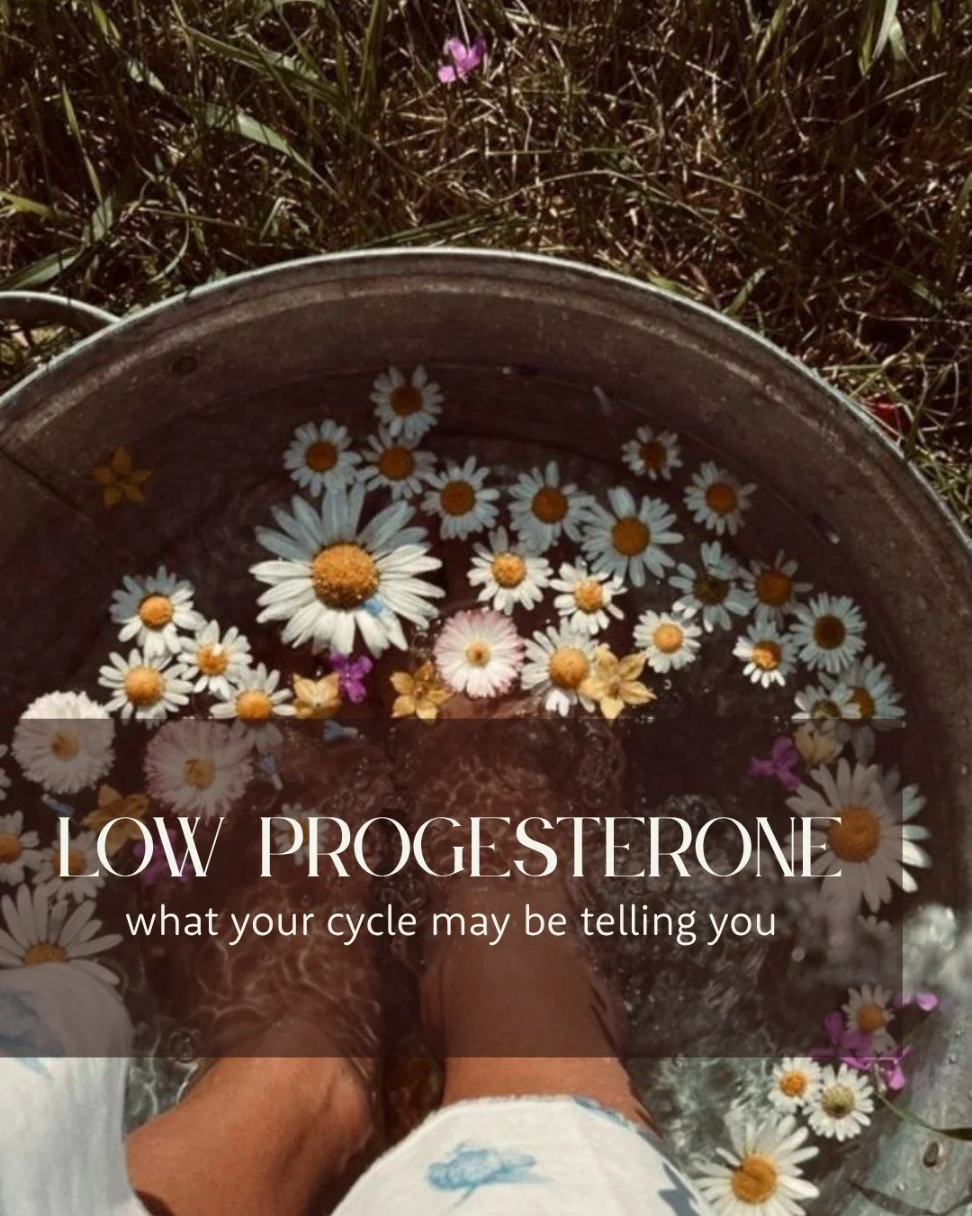 Short cycles, heavy menstrual bleeding, and PMS are among the most common concerns I see, and they frequently share an underlying hormonal thread: low progesterone. 

Sleep disturbances, recurrent miscarriage, and premenstrual dysphoric disorder (PMD