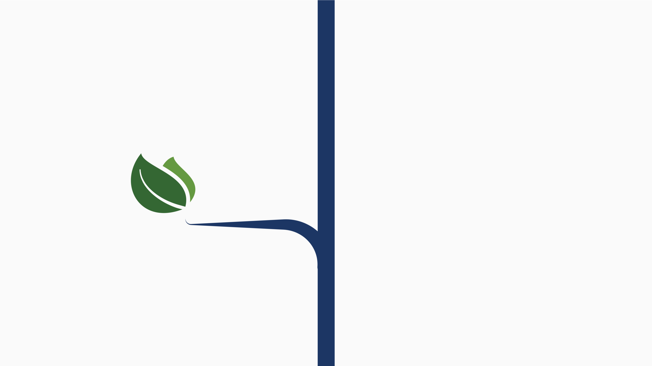 stem-leftleaf-01.png