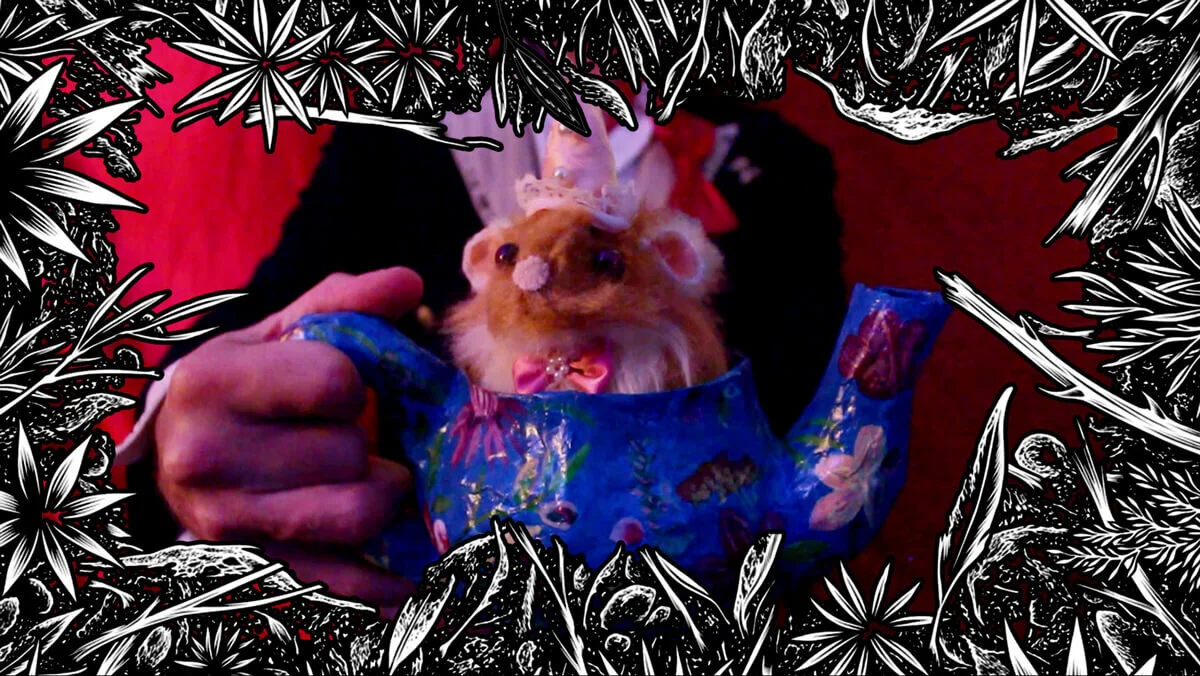 White-Rabbits-Hole-Buckbuck-experience-virtual-adventure-dormouse.jpeg