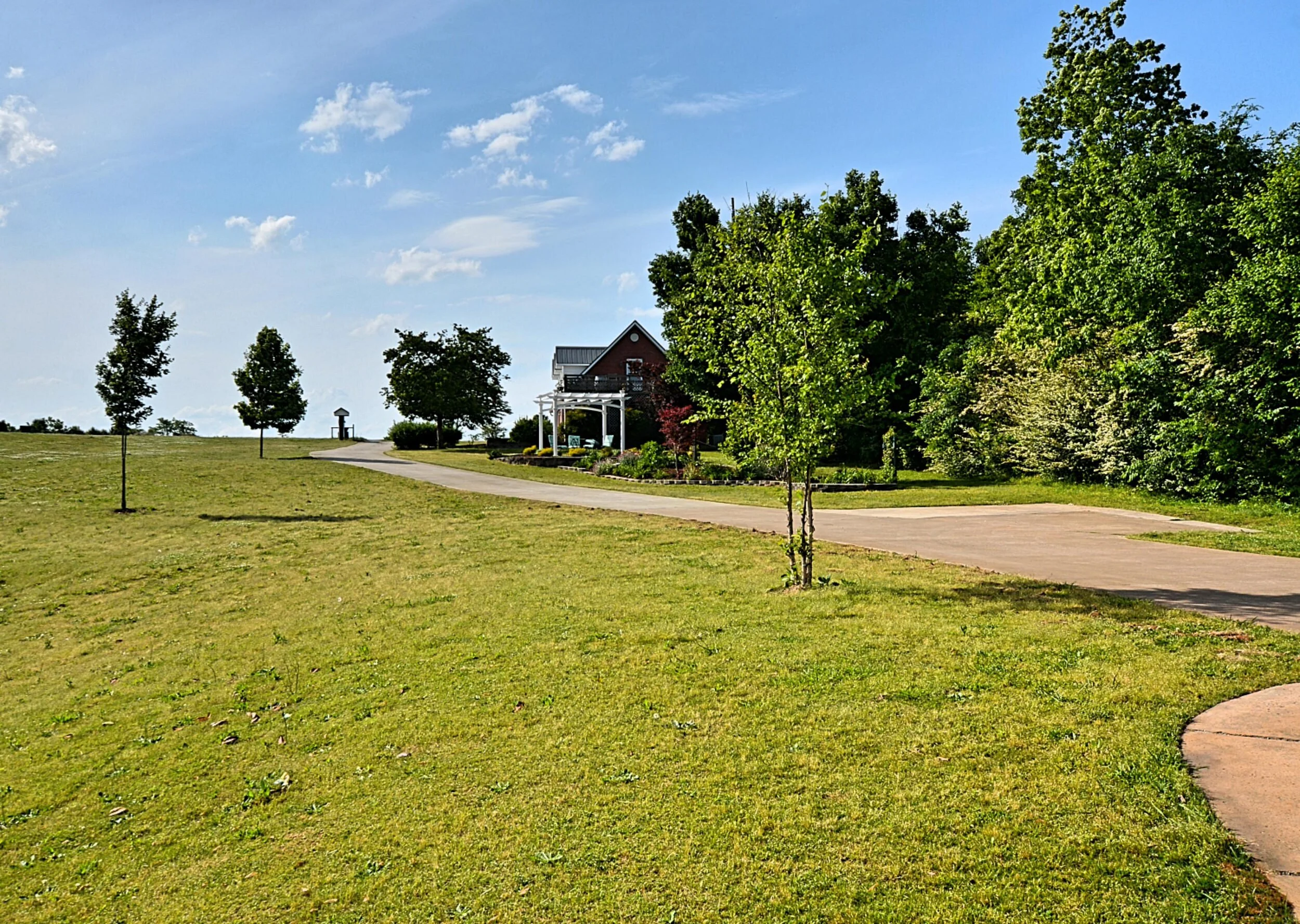 DSC_7082_Fotor.jpg