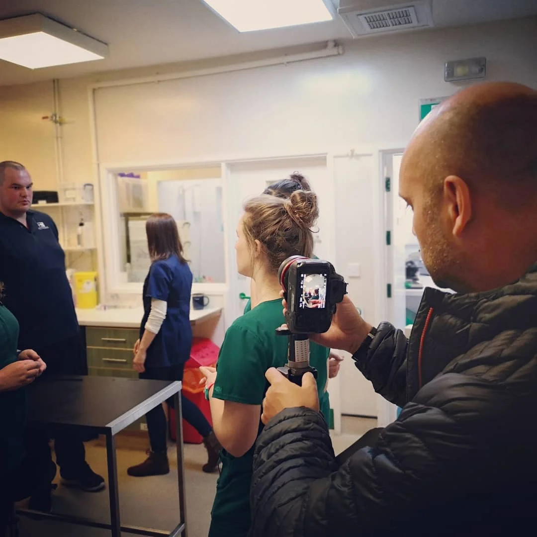 Google 360 tour for vet clinics