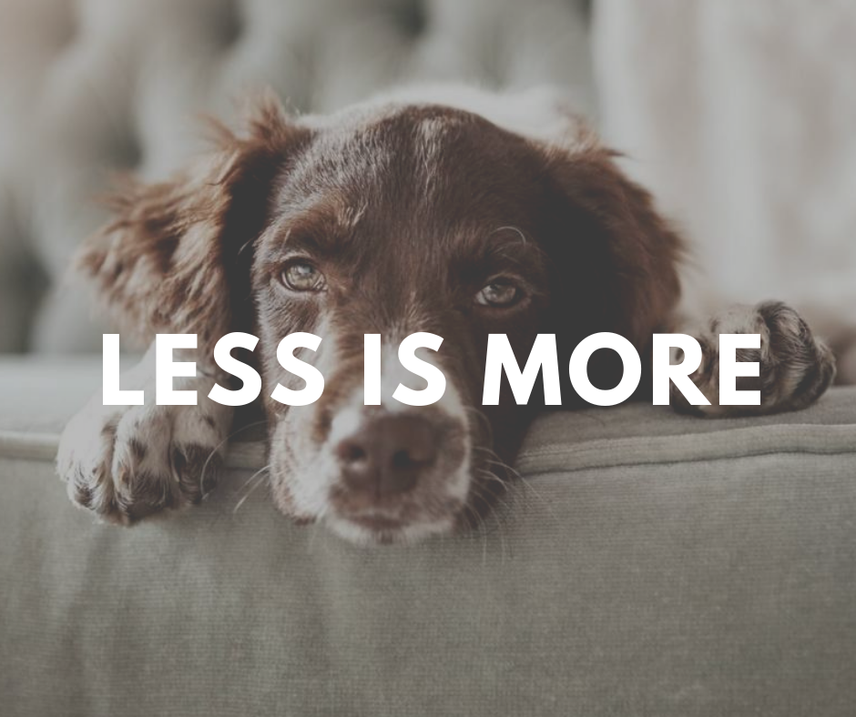 Improving your vet website content 