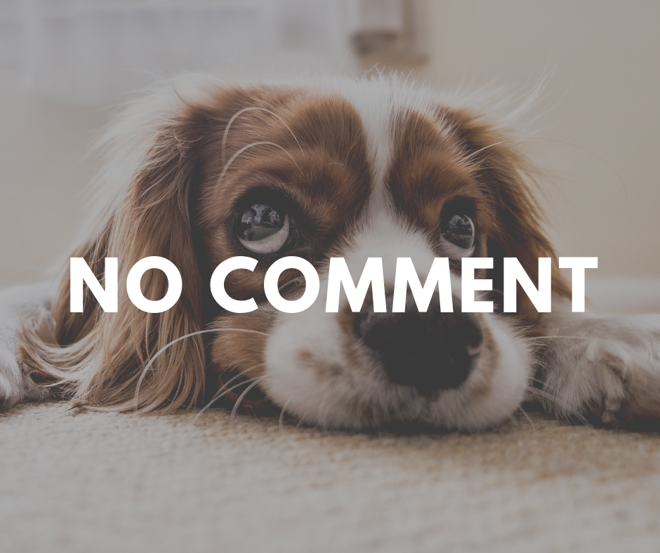 Should I allow comments on my vet clinic website?