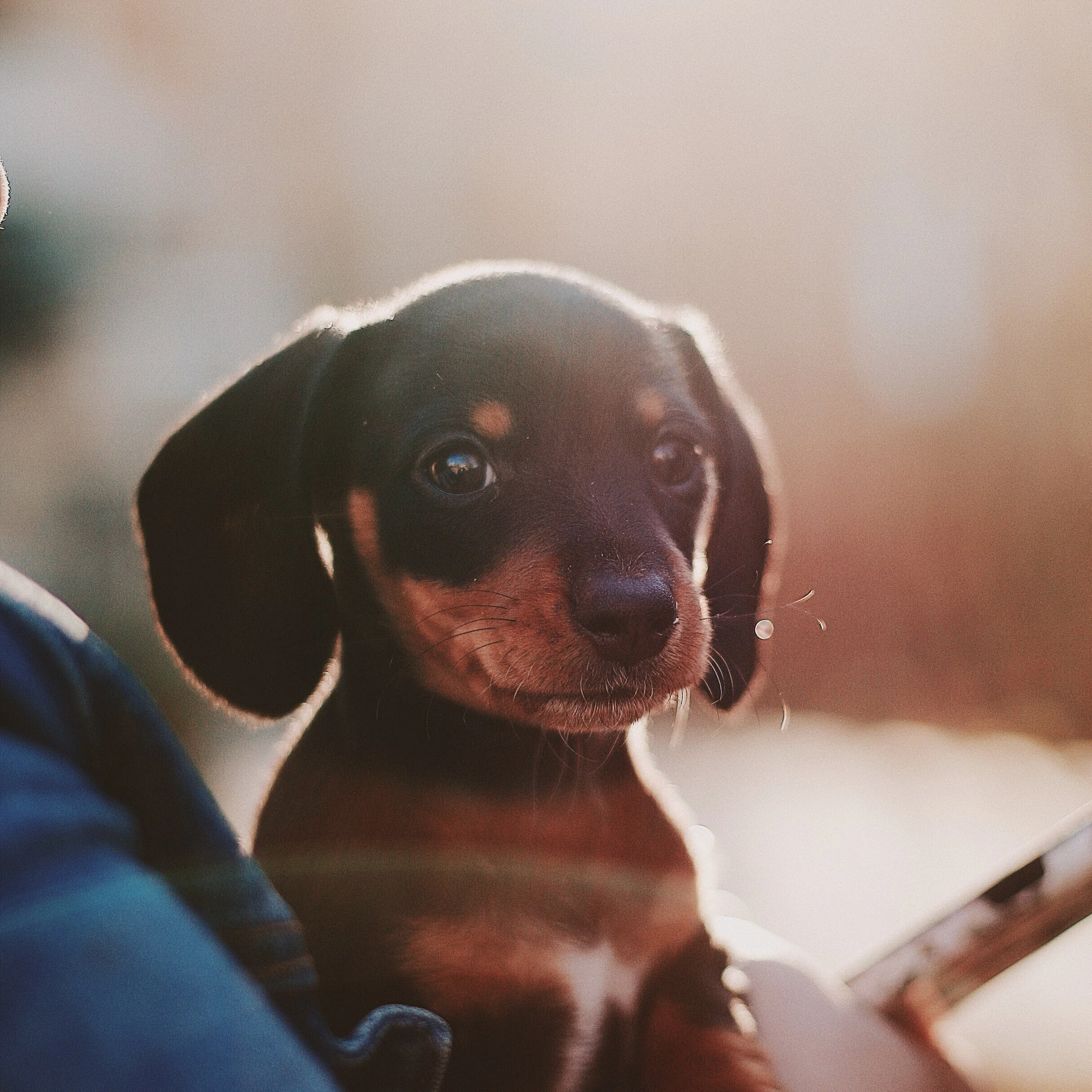 Vaccine numbers are falling