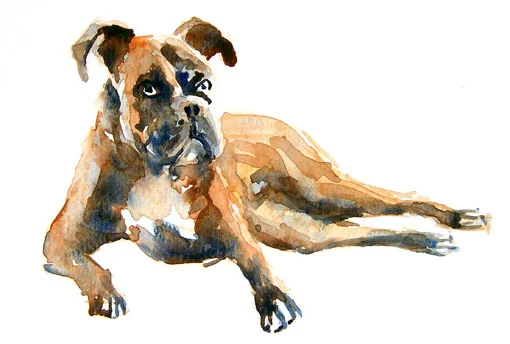 LgDog4.jpg